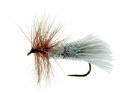 G &H Sedge