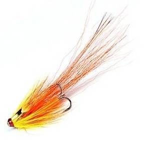 Tube Orange Flamin Pig