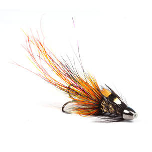 Pot Belly Pig Willie Gunn