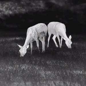 Leica CALONOX View - Mono "Spotter" 15 x 30