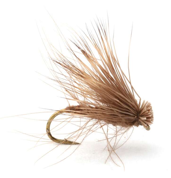 CDC Elk Hair Caddis