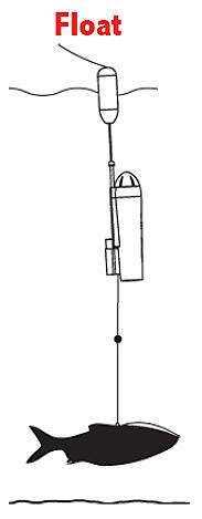 Waterwolf camera 2.0 1080k