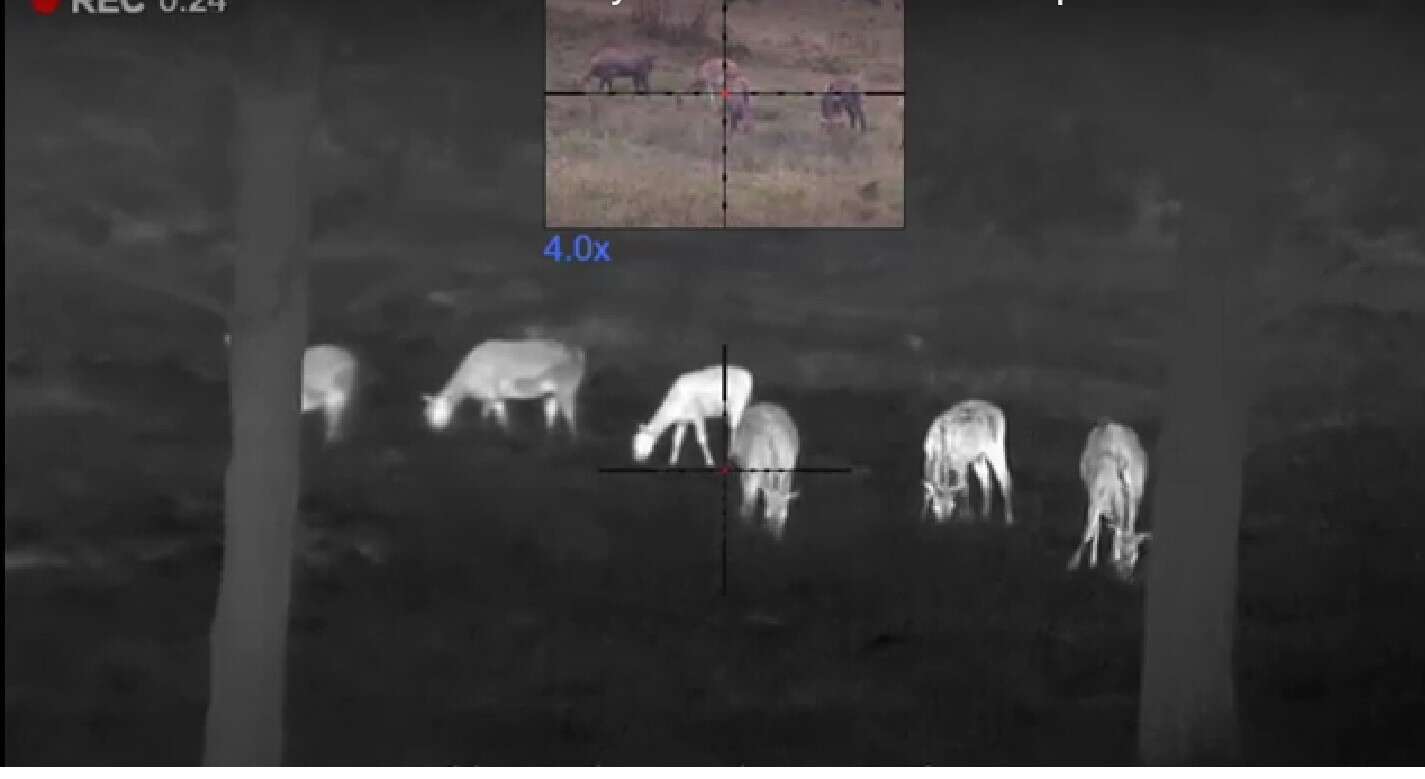 Pulsar Thermion DUO DXP50 TERMISK/DIGITAL