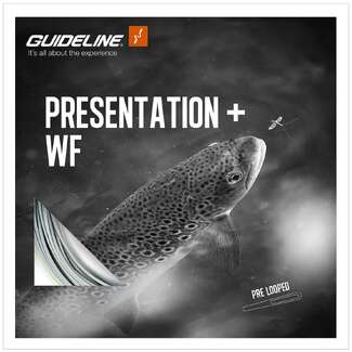 Fluesnøre Guideline Presentation+