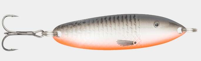 Søvik sluken Seatrout