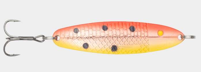 Søvik sluken Salmon