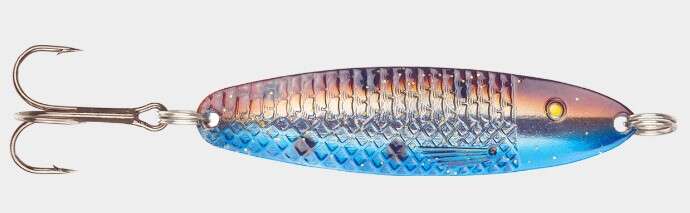 Søvik sluken Salmon