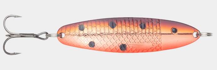 Søvik sluken Salmon