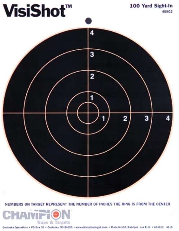 Champion blink Visi-shot 8'' skive