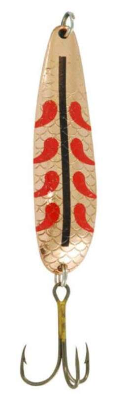 Sluk Sølvkroken Salamander Trout