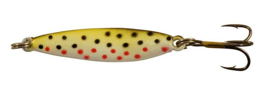 Sølvkroken Rogerdraget