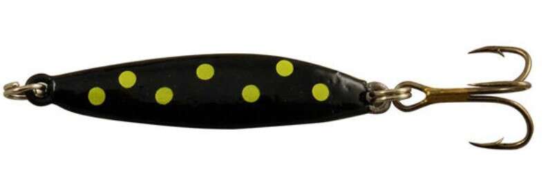 Sølvkroken Rogerdraget