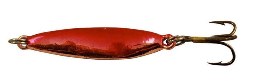 Sølvkroken Rogerdraget