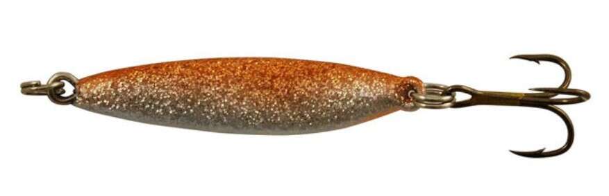 Sølvkroken Rogerdraget