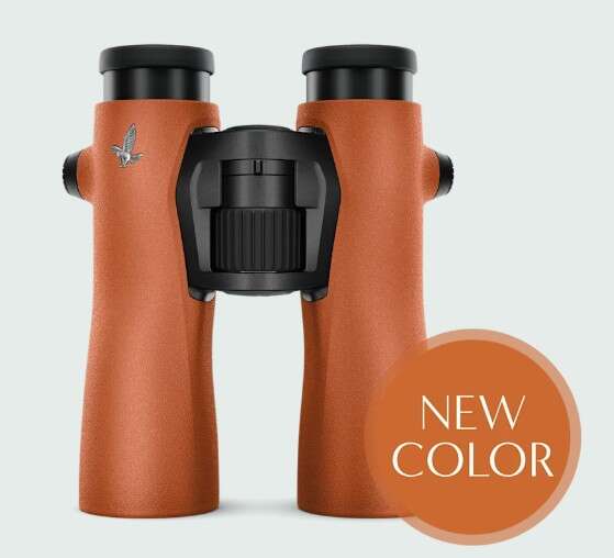 Swarovski NL Pure 12x42