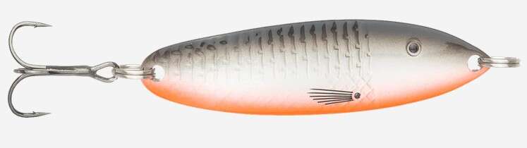 Søvik sluken ørret/sjøørret